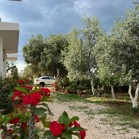 Dea Ksamil